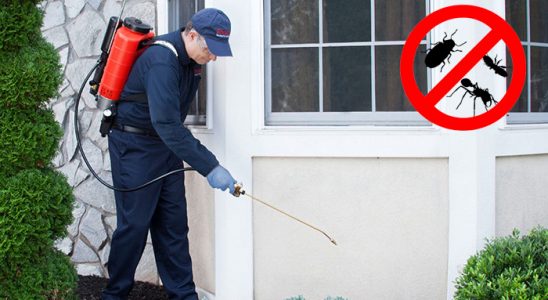 Saruhanlı Bit İlaçlama böcek ilaçlama ve haşere kontrolü — ilaclama-tr.com